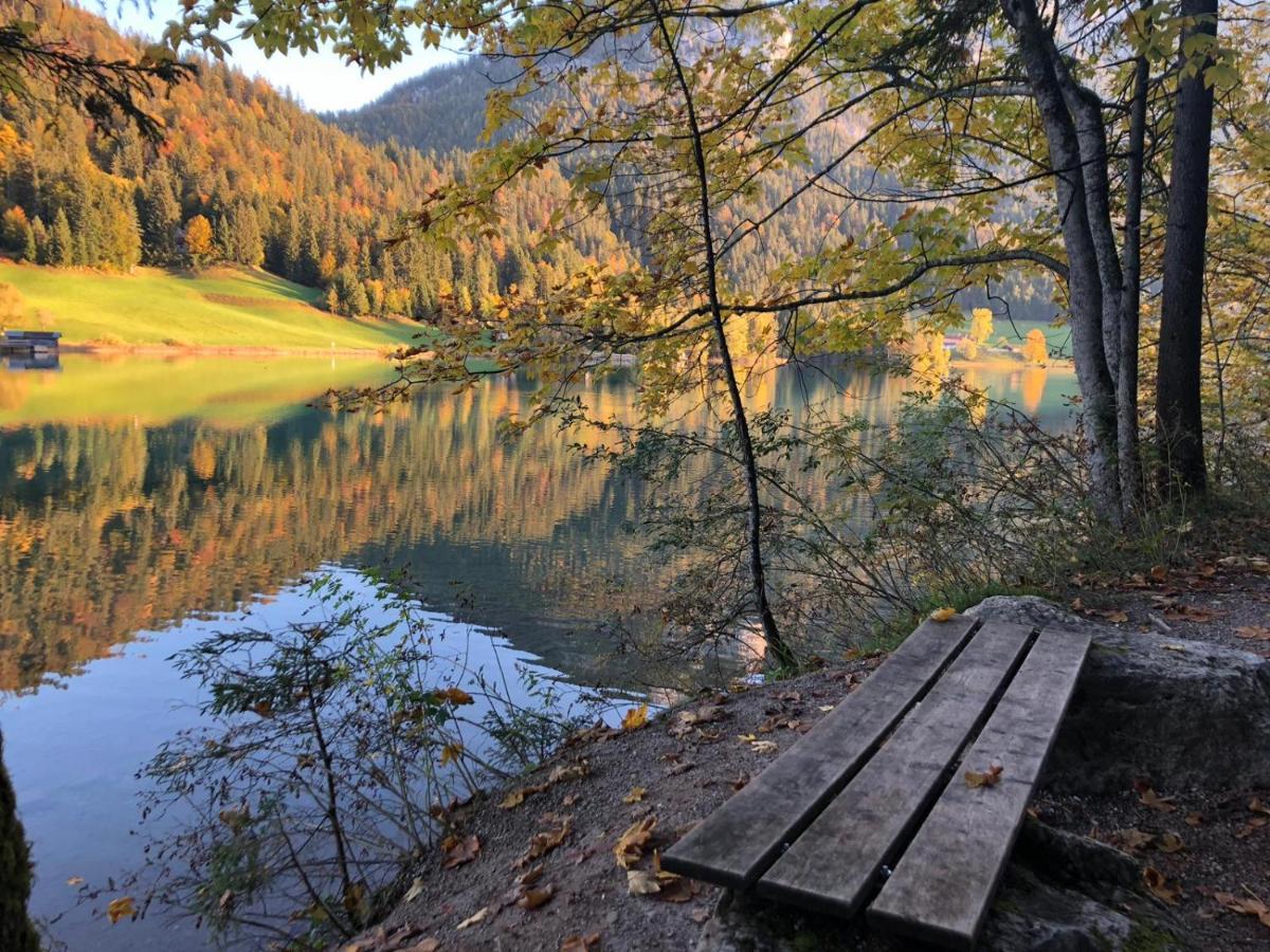 Chalet Hinterstein 쉐파우암윌던카이저 외부 사진